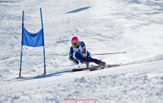 世俱杯直播-探索世俱杯赛事赞助资源整合方式与品牌协同策略